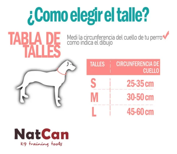 Collar Rápido para Perros Regulable de Paseo e Identificación