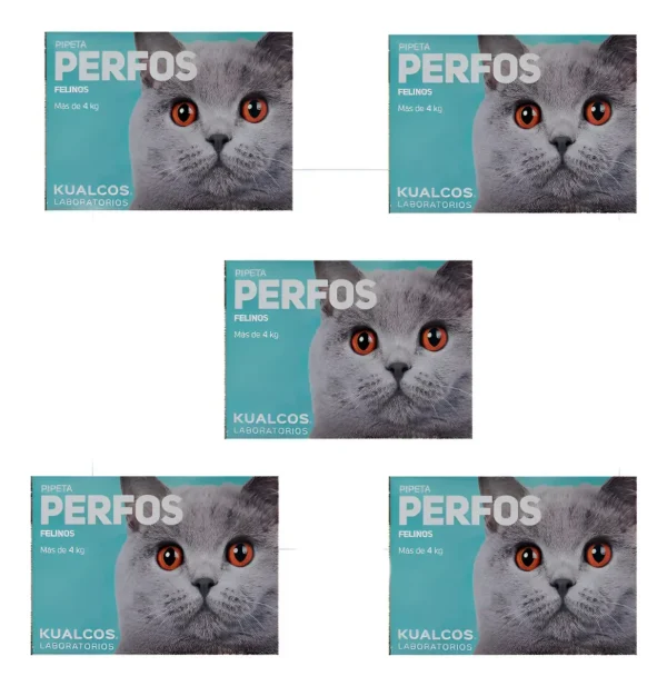 Pipeta Antipulgas para Gatos Perfos Kualcos +4 Kg Combo x5