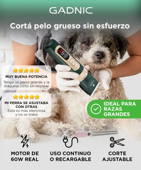 D_NQ_NP_984675-MLA92216326093_092025-F.webp Máquina Cortadora de Pelo para Perros Gadnic CP170