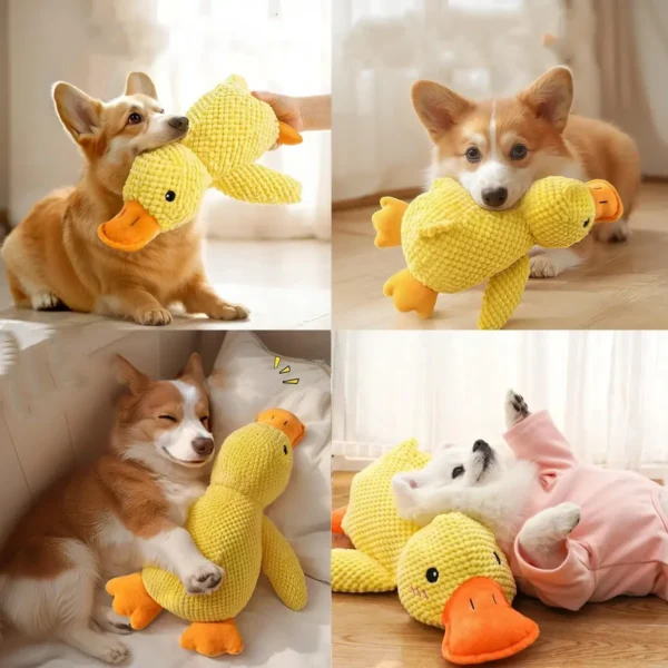 D_NQ_NP_986018-MLA84518691710_052025-F.webp Juguete con Sonido para Perros y Gatos Pato de Chifle Resistente