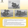 Manta Colchoneta Refrigerante Para Perros Verano Grande Beepaw Azul Marino
