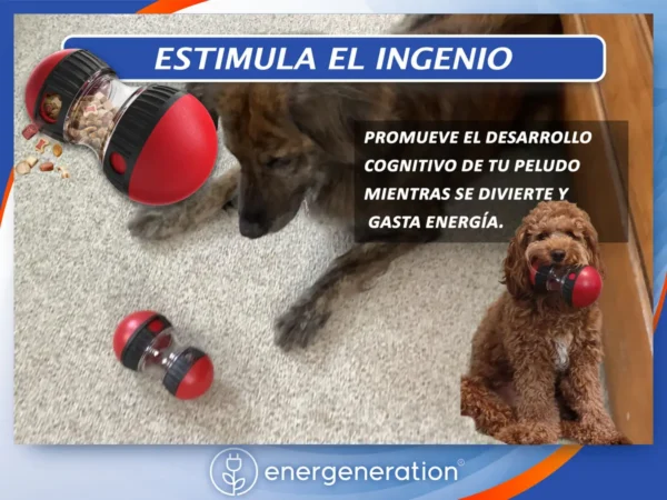 Juguete Dosificador De Alimento Para Perros Ansiosos Energeneration Rocky Color Rojo