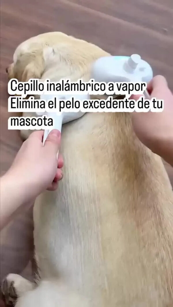 Cepillo Peine A Vapor Recargable para Perros y Gatos Blanco