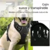 Pretal Arnes Para Perros Anti Tirones Regulable Kit Con Correa TonioPet