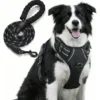 Pretal Arnes Para Perros Anti Tirones Regulable Kit Con Correa TonioPet