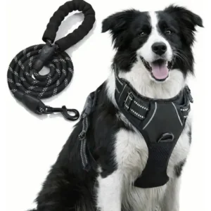 Pretal Arnes Para Perros Anti Tirones Regulable Kit Con Correa TonioPet