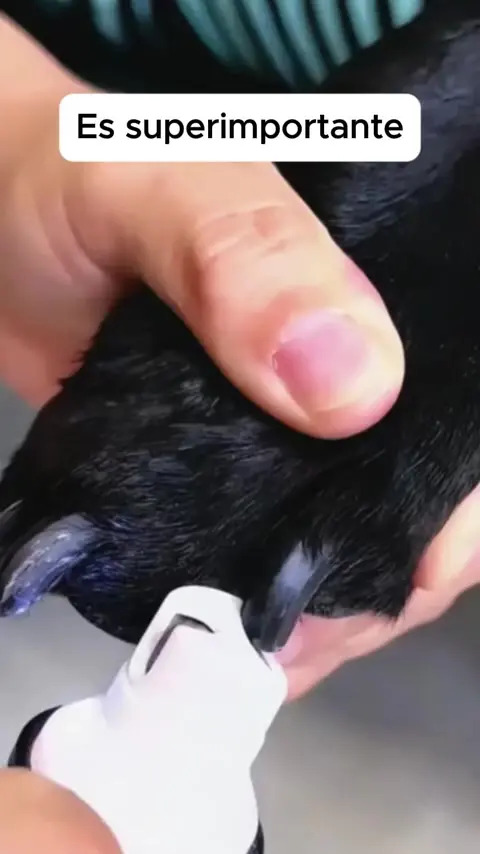 Lima Eléctrica De Uñas Para Mascotas Silenciosa Recargable Usb Pet Fur