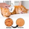 Cepillo A Vapor Autolimpiante para Perros y Gatos Amigalitos Suave