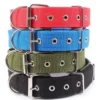 Collar Reforzado Soft para Perros Medianos
