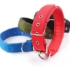 Collar Reforzado Soft para Perros Medianos
