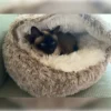 Cama Cueva para Gatos y Perros de Felpa Plush 45x45 cm