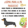 Collar Isabelino Protector Acolchado para Perros y Gatos