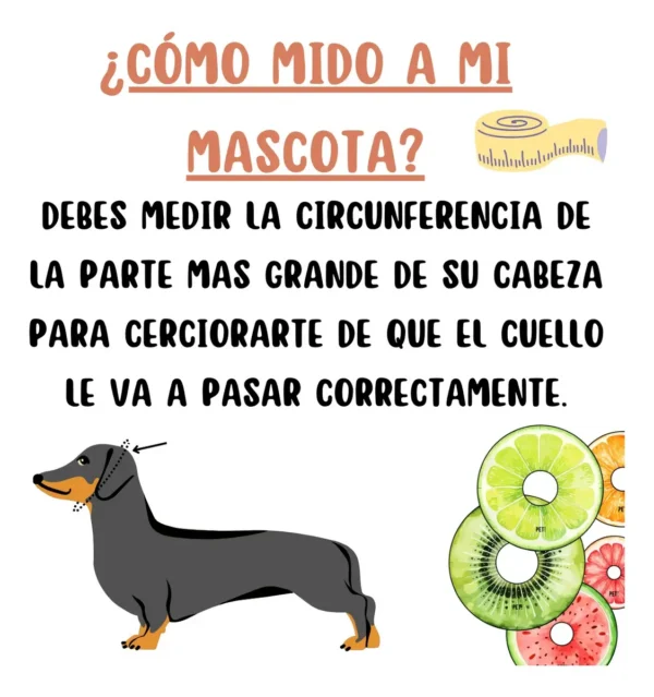 Collar Isabelino Protector Acolchado para Perros y Gatos