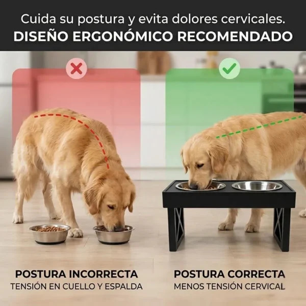Comedero Bebedero Elevado Doble Altura Regulable Acero Inoxidable para Perros y Gatos