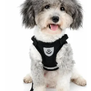 Arnés Pretal Acolchado con Correa 1.5 m para Perros y Gatos