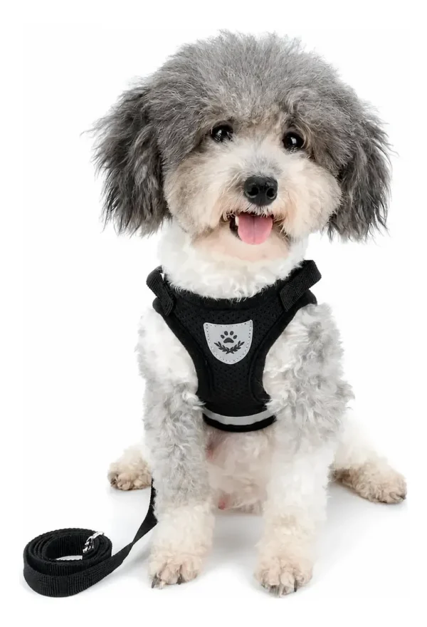 Arnés Pretal Acolchado con Correa 1.5 m para Perros y Gatos