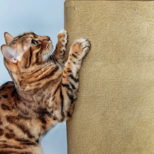 Rascador Protector Esquinero para Sillón para Gatos