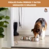 Comedero Bebedero Kit 2 Platos Acero Inoxidable 26 cm para Perros y Gatos