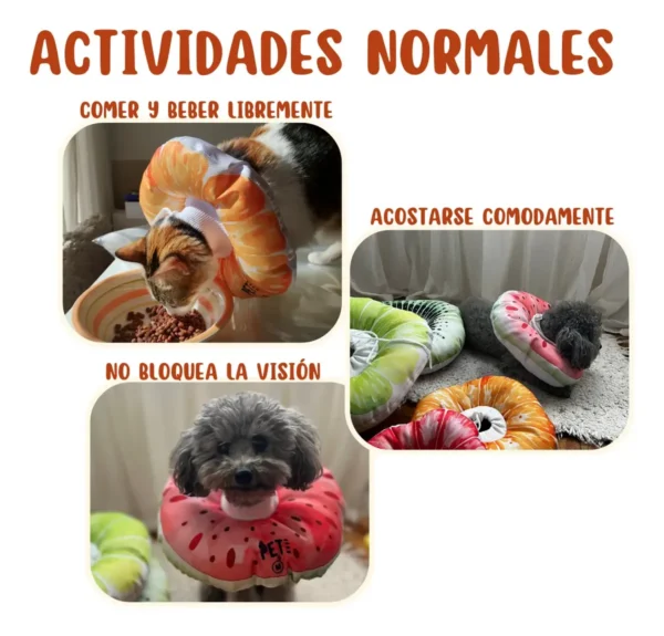 Collar Isabelino Protector Acolchado para Perros y Gatos
