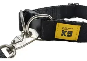 Collar Regulable de Entrenamiento 40 mm para Perros