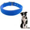 Collar Reforzado Soft para Perros Medianos