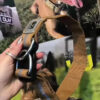 Collar Regulable de Entrenamiento 40 mm para Perros