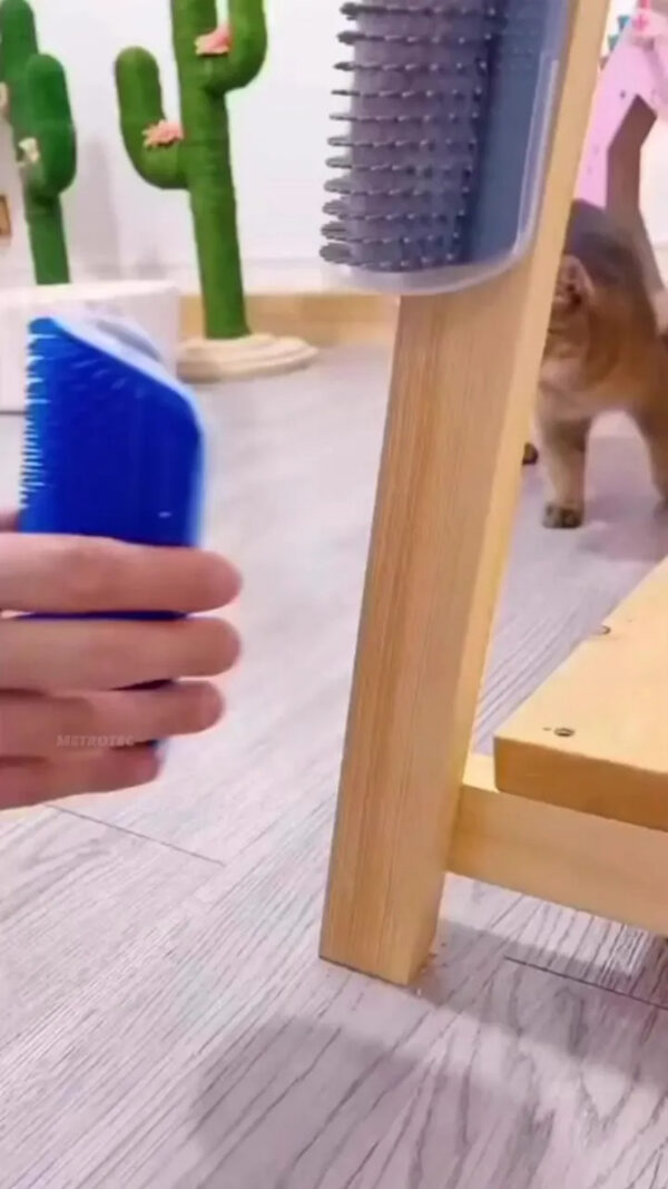 Rascador Cepillo Masajeador de Esquina para Gatos