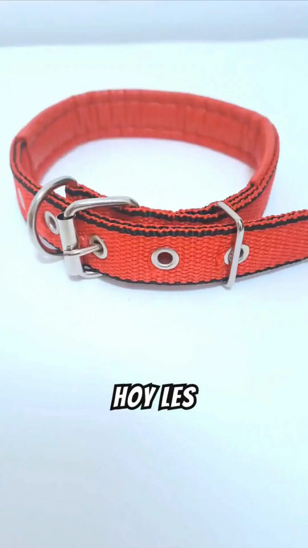 Collar Reforzado Soft para Perros Medianos